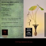 Michel henritzi – Fukuoka Eclipse in Berlin