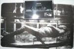 Grim Cassette “Vital 1983-86” Lust&nbsp;Vessel